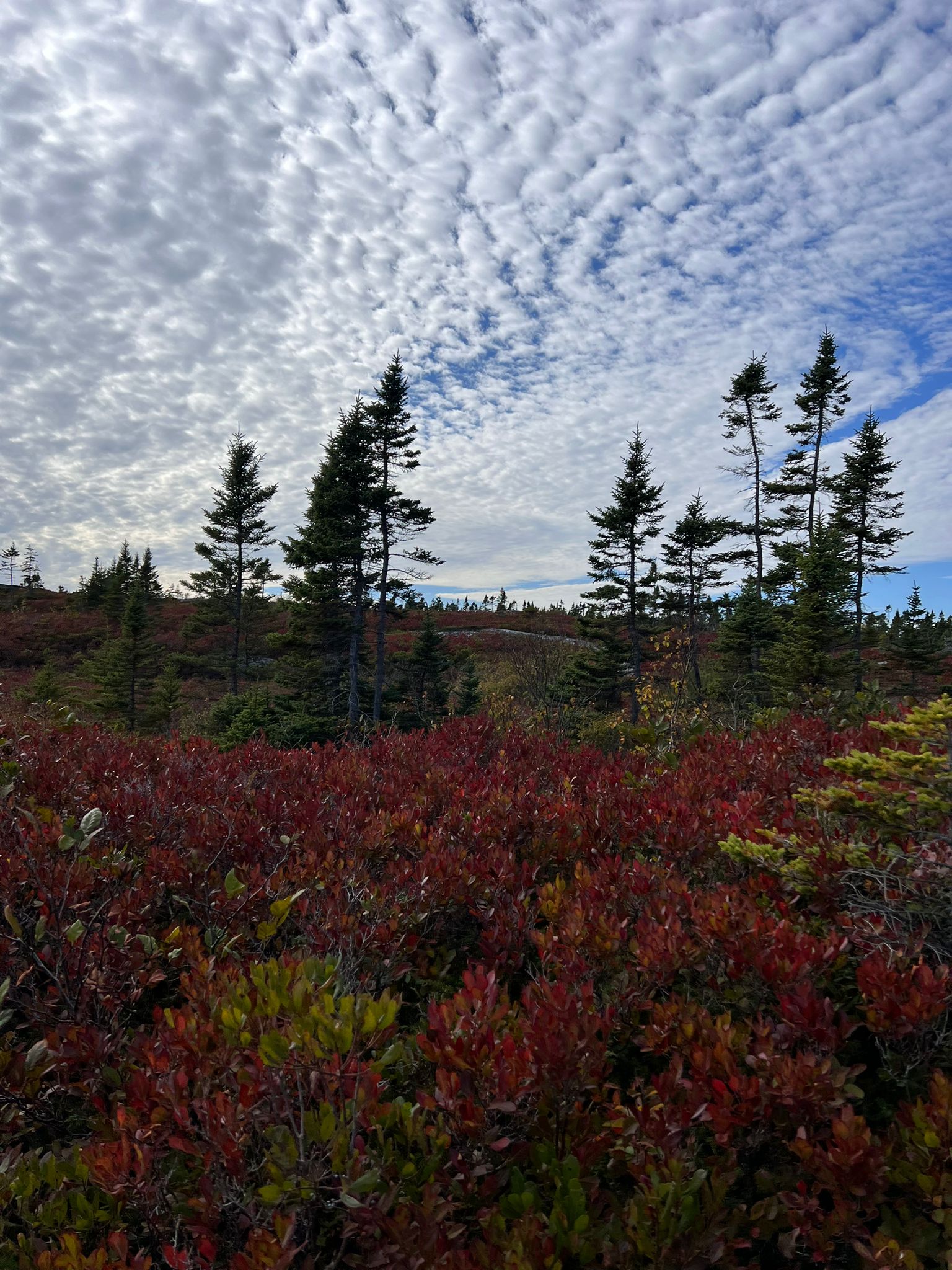 Halifax Duncans Cove Fall Picture