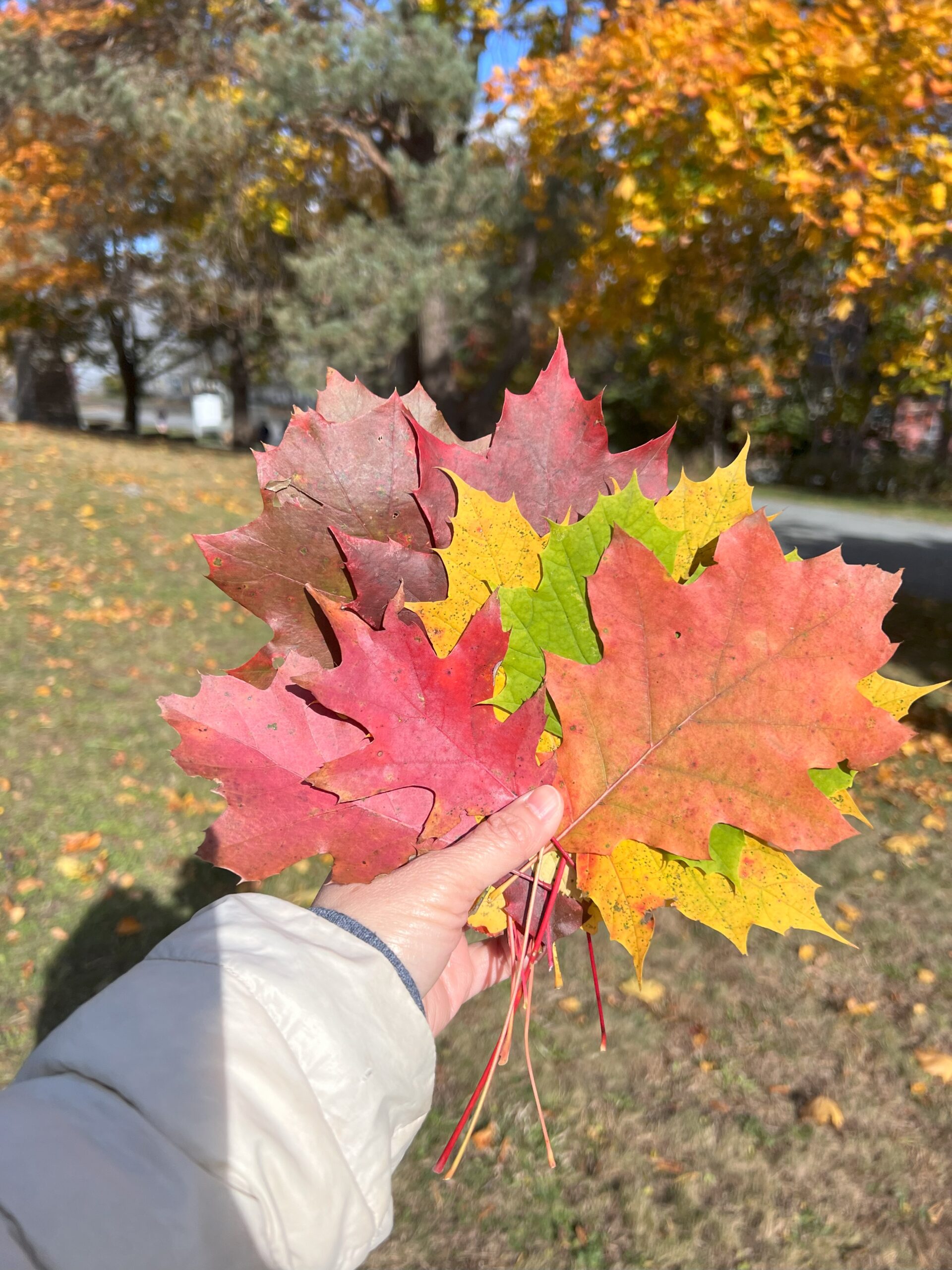 Chinese women's community 4th meet up