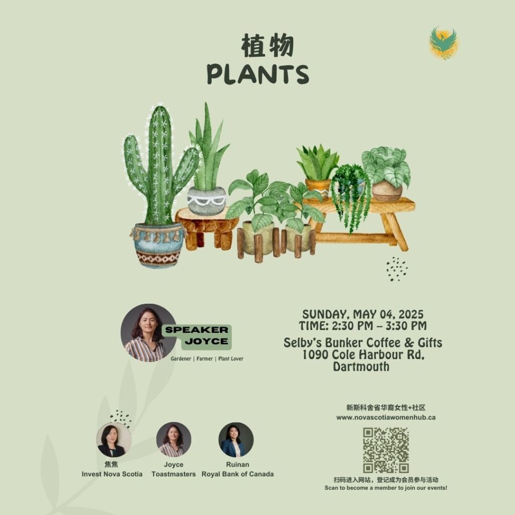 plants-picture plants-picture