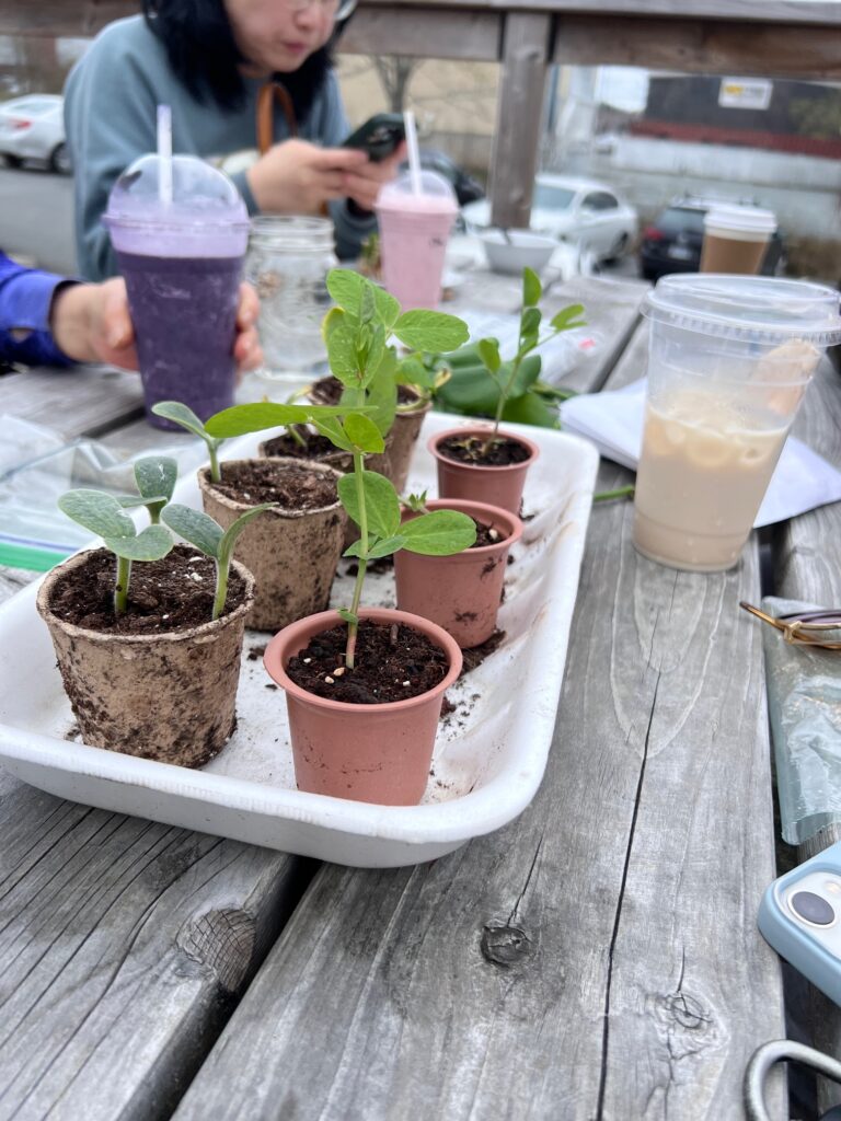 #12 Plants