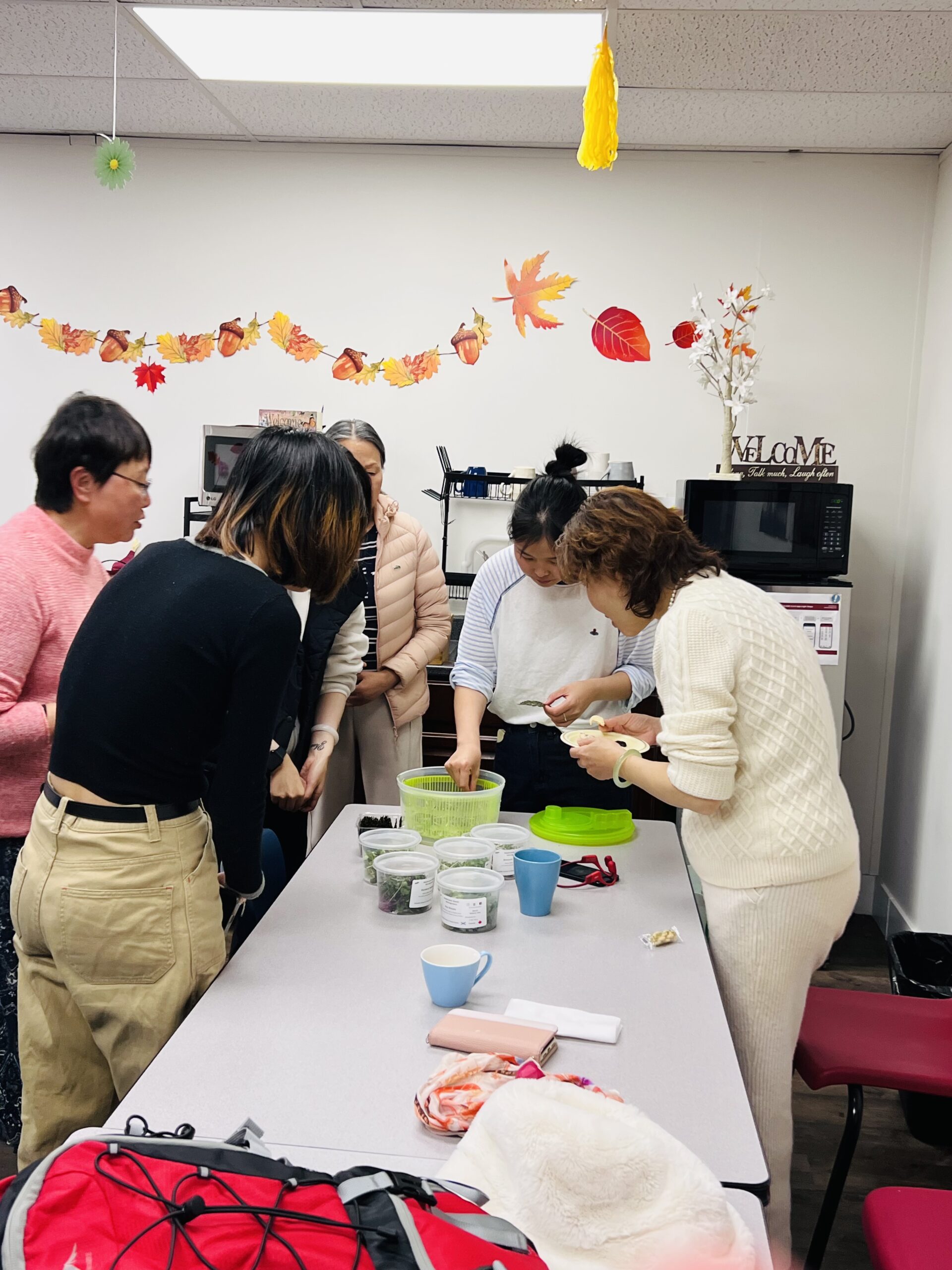 Chinese Women+ Network House